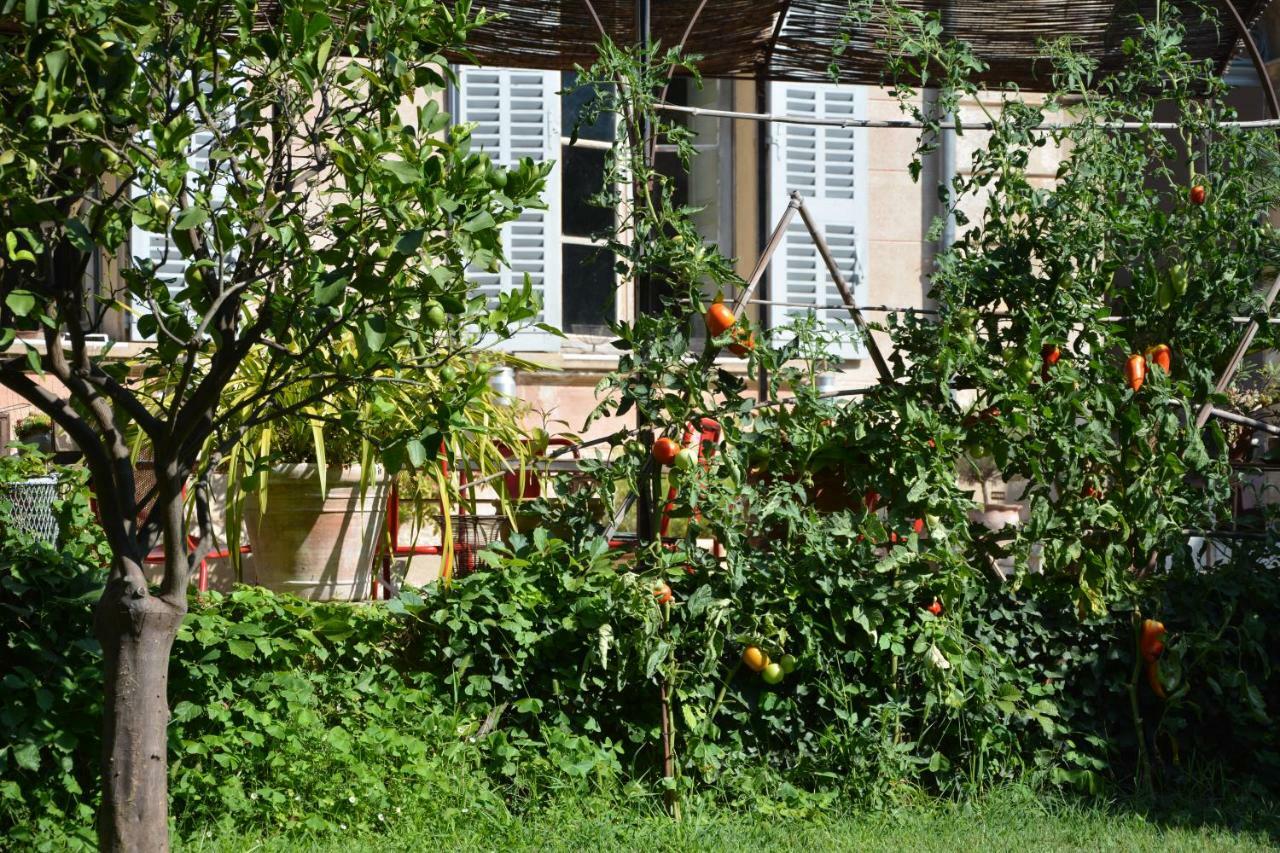 Les Passiflores Grasse Exterior photo